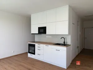 Pronájem bytu 1+kk, Plzeň - Bolevec, Krašovská, 36 m2