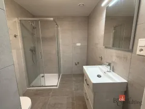 Pronájem bytu 1+kk, Plzeň - Bolevec, Krašovská, 36 m2