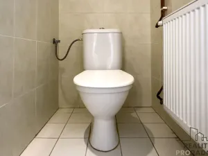 Prodej chalupy, Olešná, 151 m2
