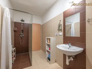 Pronájem bytu 1+kk, Tachov, Sokolovská, 50 m2