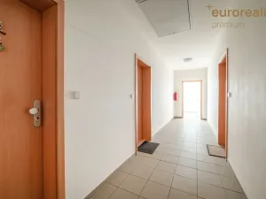 Pronájem bytu 1+kk, Tachov, Sokolovská, 50 m2