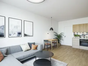 Prodej bytu 1+kk, Brno, Pionýrská, 37 m2