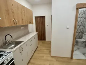 Pronájem bytu 1+1, Prostějov, 35 m2