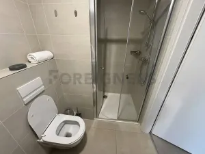 Pronájem bytu 1+kk, Praha, Plzeňská, 20 m2