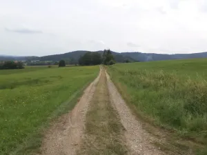 Prodej pozemku, Holubov, 5614 m2
