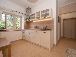 Prodej bytu 3+kk, Roprachtice, 73 m2