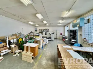 Prodej výrobních prostor, Přerov - Přerov I-Město, 9. května, 495 m2