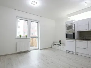 Pronájem bytu 1+kk, Brno, Lišejníková, 35 m2