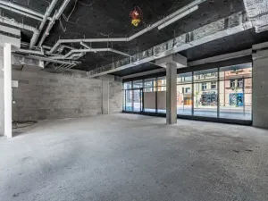 Prodej obchodního prostoru, Praha - Nusle, Nuselská, 303 m2