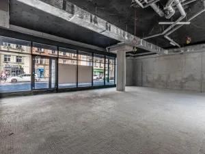 Prodej obchodního prostoru, Praha - Nusle, Nuselská, 303 m2