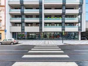Prodej obchodního prostoru, Praha - Nusle, Nuselská, 303 m2