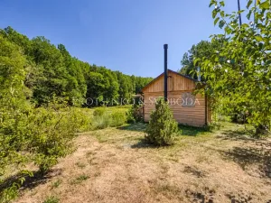Prodej zemědělské usedlosti, Lhenice, 300 m2