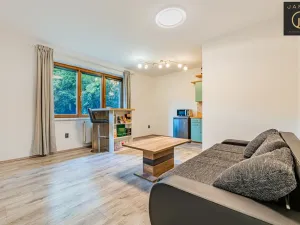Prodej bytu 2+kk, Praha - Libeň, Nad Rokoskou, 53 m2