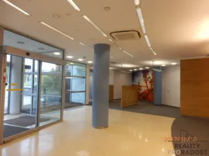 Pronájem obchodního prostoru, Brno, Bubeníčkova, 197 m2