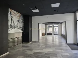 Pronájem obchodního prostoru, Brno - Brno-město, Dvořákova, 165 m2