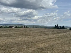 Prodej pozemku, Brno, Vejrostova, 2440 m2