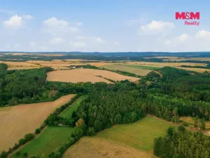 Prodej lesa, Břežany, 3520 m2