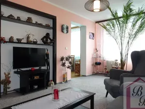 Prodej bytu 3+1, Mladá Boleslav, 17. listopadu, 87 m2