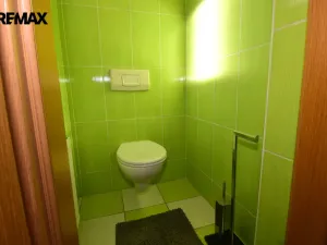 Prodej rodinného domu, Oslov, 222 m2