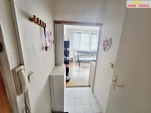 Pronájem bytu 1+kk, Brno - Líšeň, Hochmanova, 31 m2