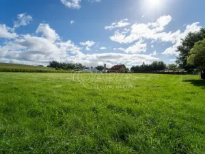 Prodej pozemku pro bydlení, Vlčice, 1000 m2