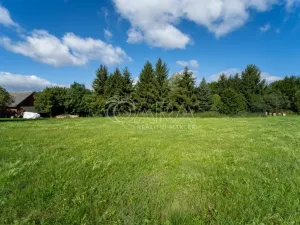 Prodej pozemku pro bydlení, Vlčice, 1000 m2