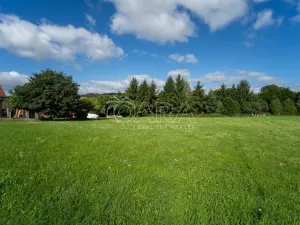 Prodej pozemku pro bydlení, Vlčice, 1000 m2