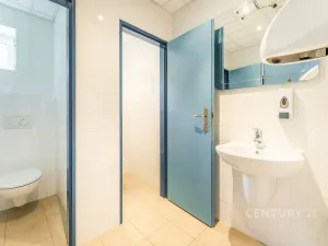 Prodej ubytování, Jáchymov, Fibichova, 578 m2