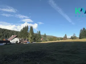 Prodej louky, Pernink, 25316 m2