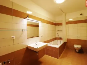 Pronájem bytu 2+kk, Olomouc - Nové Sady, Rokycanova, 82 m2