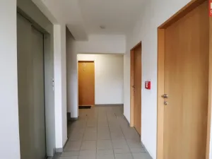 Pronájem bytu 2+kk, Olomouc - Nové Sady, Rokycanova, 82 m2