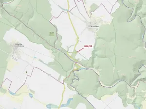 Dražba lesa, Kuroslepy, 11 m2
