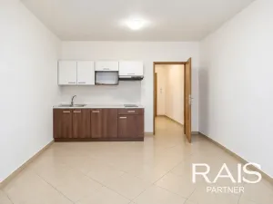 Prodej bytu 1+kk, Brno - Husovice, Svitavská, 30 m2