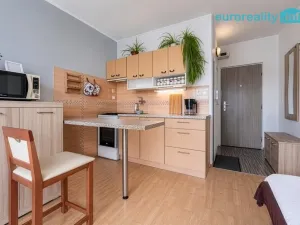 Pronájem bytu 2+kk, Cheb, Boženy Němcové, 33 m2