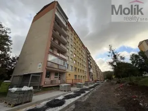 Pronájem bytu 3+1, Most, K. H. Borovského, 55 m2