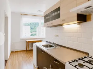 Prodej bytu 2+1, Krupka - Maršov, Karla Čapka, 62 m2