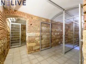 Pronájem bytu 3+1, Plzeň, Kardinála Berana, 91 m2