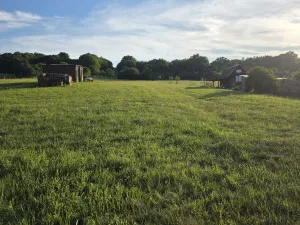Prodej pozemku pro bydlení, Javorník, 4223 m2
