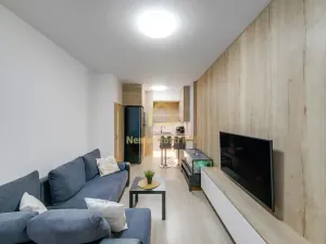 Pronájem bytu 2+kk, Ostrava, Hasičská, 44 m2