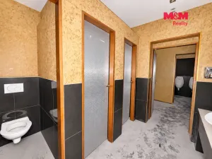 Pronájem obchodního prostoru, Jesenice, Budějovická, 237 m2