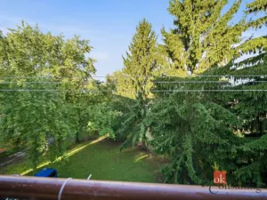 Prodej bytu 2+kk, Nové Město nad Metují, Malecí, 43 m2