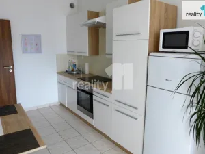 Prodej bytu 1+1, Karlovy Vary - Doubí, Spálená, 50 m2