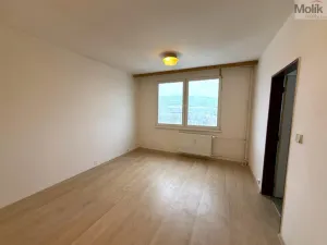 Pronájem bytu 1+1, Chlumec - Hrbovice, Hrbovická, 34 m2