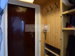 Pronájem bytu 1+1, Plzeň, K Papírně, 37 m2