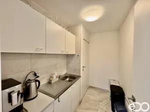 Pronájem kanceláře, Mladá Boleslav, Olbrachtova, 21 m2