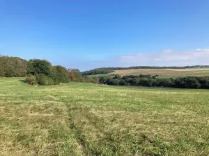 Prodej rodinného domu, Neveklov, Elišky Horelové, 113 m2