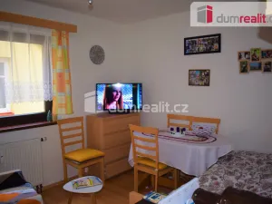 Pronájem bytu 1+kk, Mnichovo Hradiště, Ivana Olbrachta, 20 m2