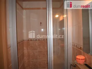 Pronájem bytu 1+kk, Mnichovo Hradiště, Ivana Olbrachta, 20 m2