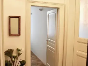 Pronájem bytu 2+kk, Praha - Vinohrady, Mánesova, 55 m2