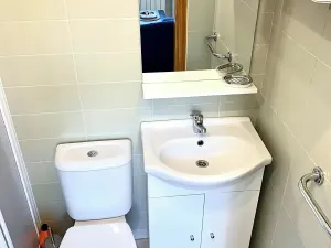 Pronájem bytu 2+kk, Praha - Žižkov, Bořivojova, 56 m2